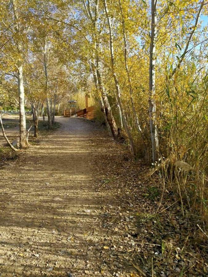 Apartamento En Puerta Valle Ricote Y Archena Lejlighed Villanueva de Río Segura Eksteriør billede